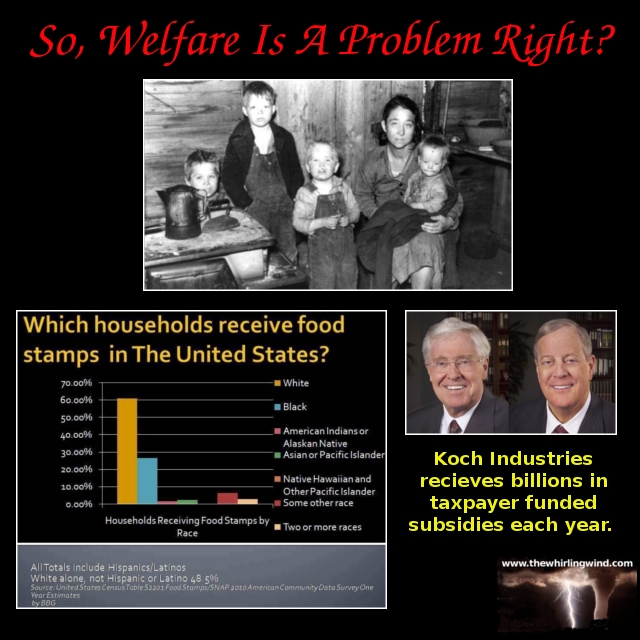 Gallery - Truth About Welfare Meme