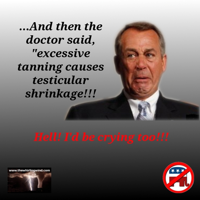 Why Boehner Is Ineffective Meme