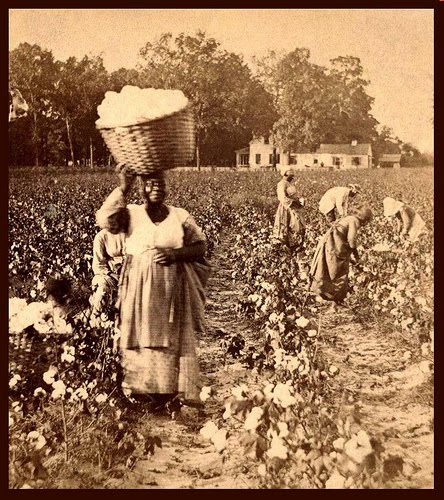 slaves_picking_cotton.jpg