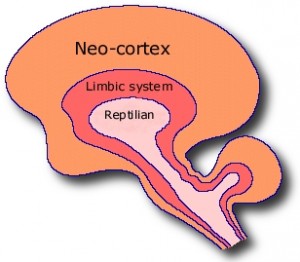 The Triune Human Brain