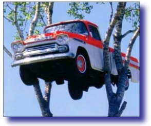 Truck Up A Tree