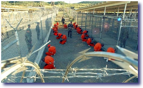 Understanding The Second Amendment - Guantanamo Bay Prison Camp