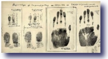 DNA Apocalypse - Fingerprint Card