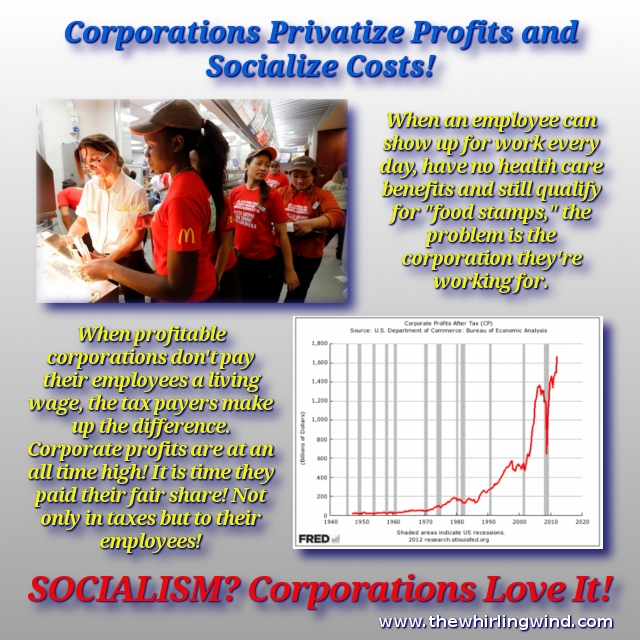 Privatize Profits - Socialize Cost Meme