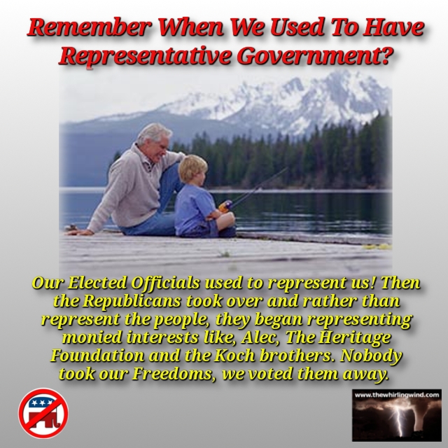 Representative Goverment Meme