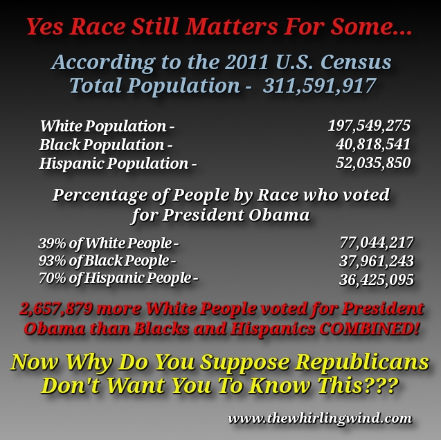 Voting Statistics Meme