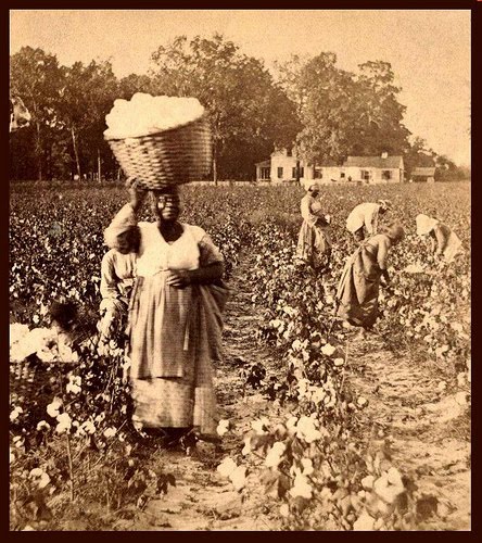 slaves_picking_cotton - The Whirling WindThe Whirling Wind
